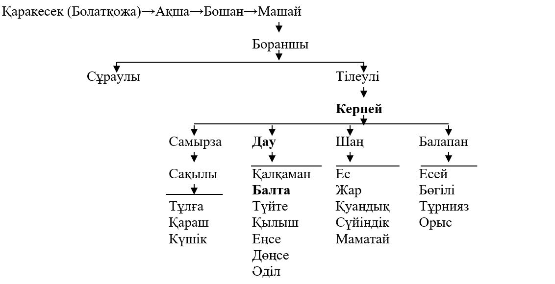 Көкбөрі Керней | Басты бет Көкбөрі Керней | Басты бет
